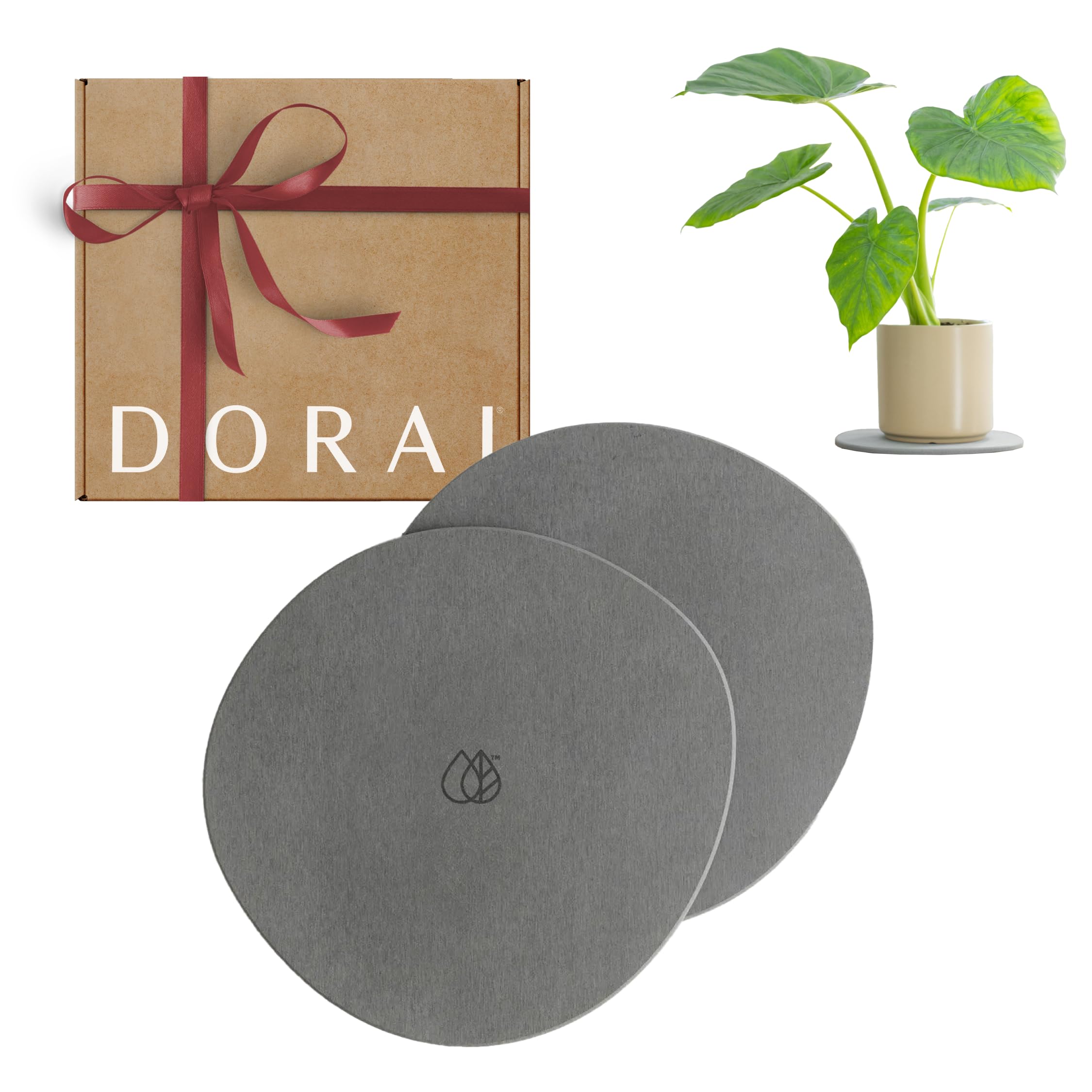 Amazon.com : Dorai Stone Plant Pot Saucer – 2 Large Diatomite